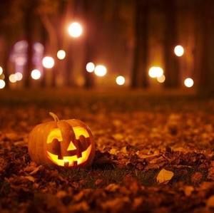 Meet your Posher, Joy